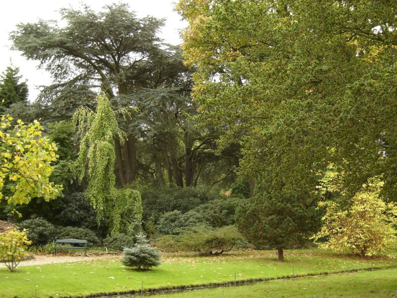 Trompenburg Tuinen & Arboretum
