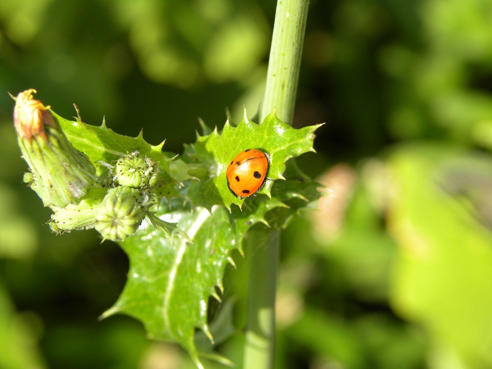 Landgoed Schovenhorst