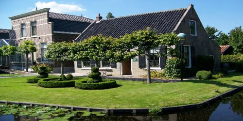 Maretak een tegendraadse plant - Grimmig, mysterieus en fascinerend