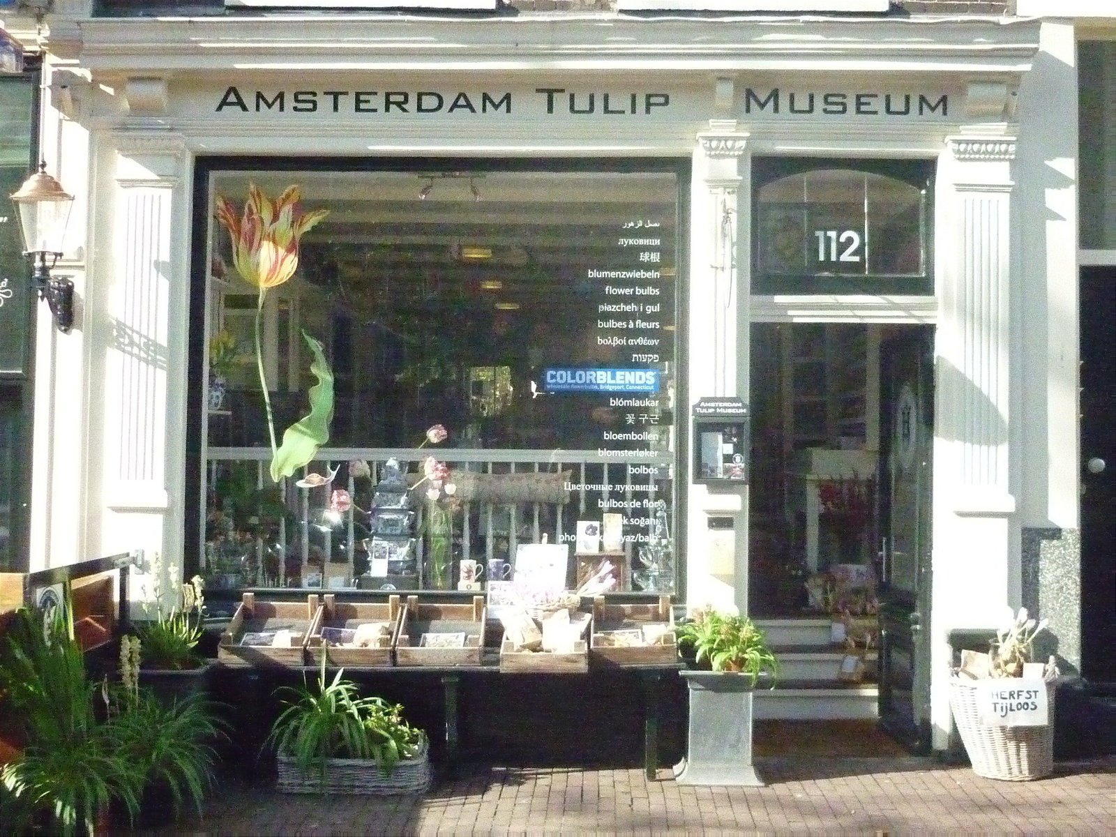 Amsterdams Tulpen Museum