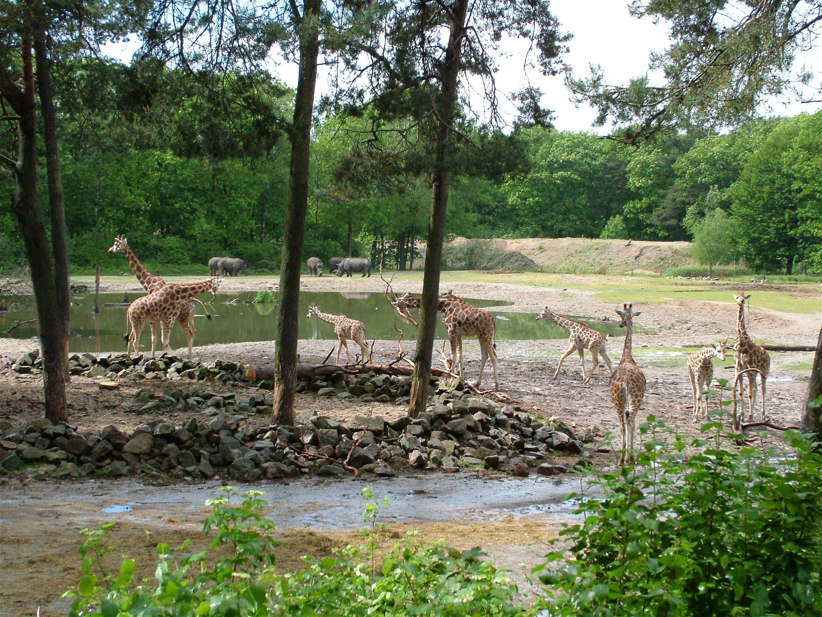Burgers' Zoo
