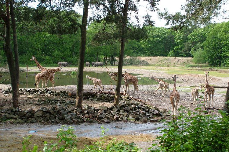 Burgers' Zoo