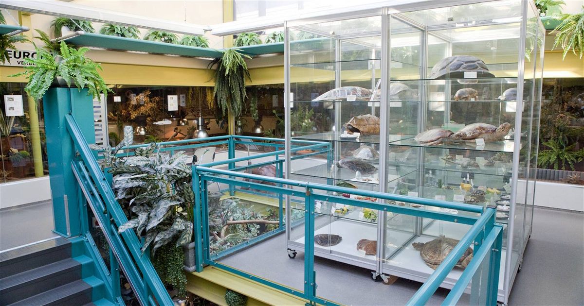 Openingstijden Schildpaddencentrum (Alphen aan Den Rijn) Openingstijden Schildpaddencentrum (Alphen aan Den Rijn)