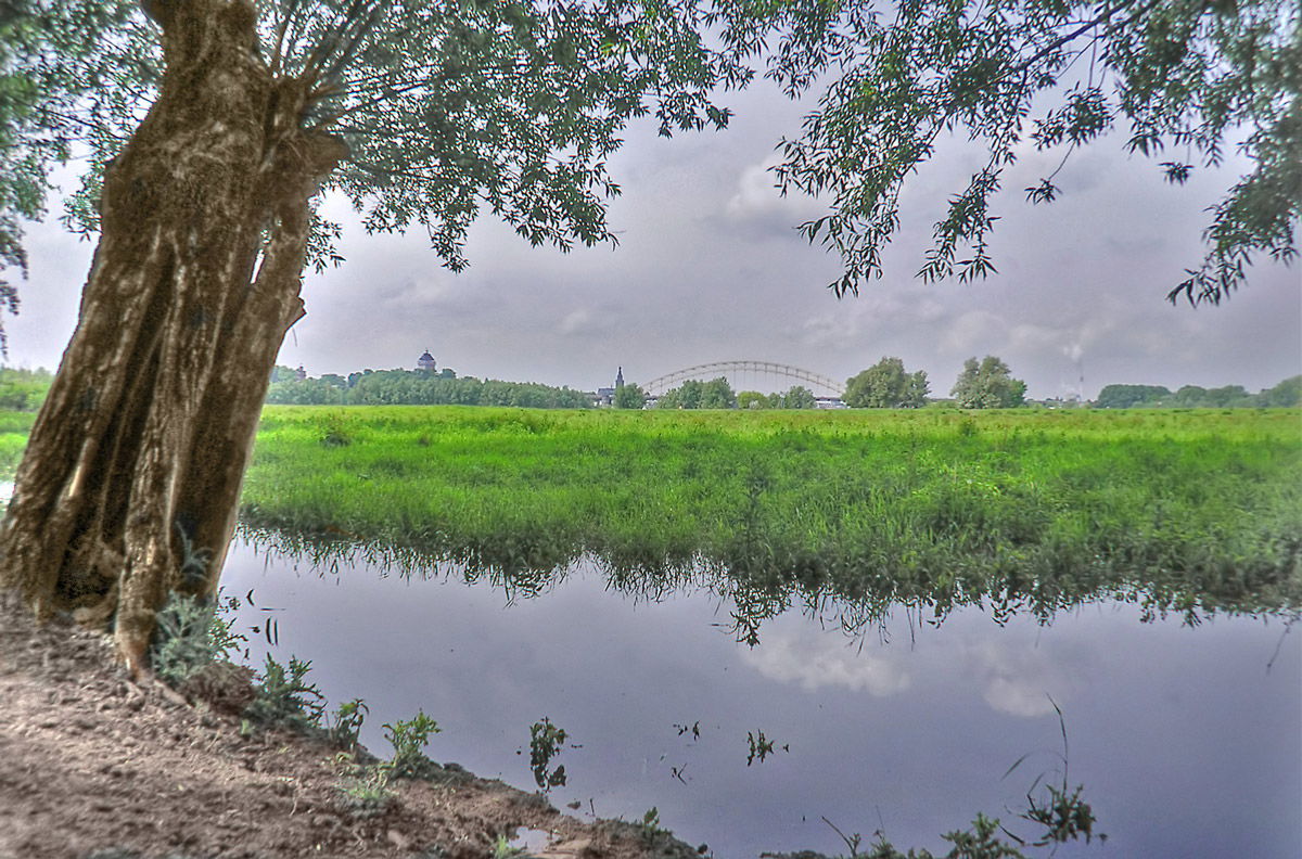 Natuurmuseum Nijmegen