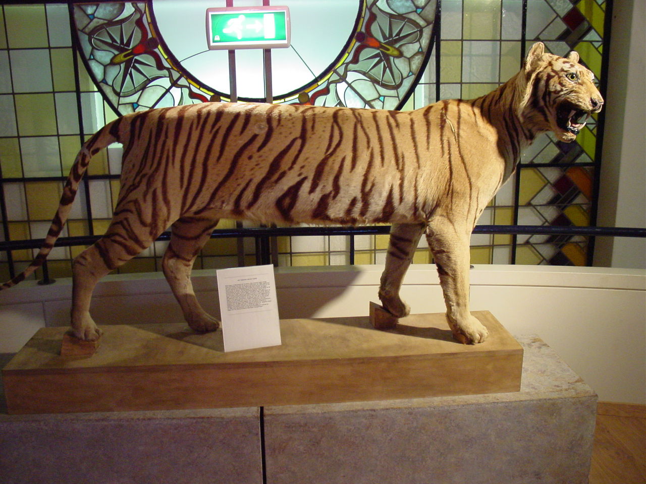 Natuurmuseum Nijmegen