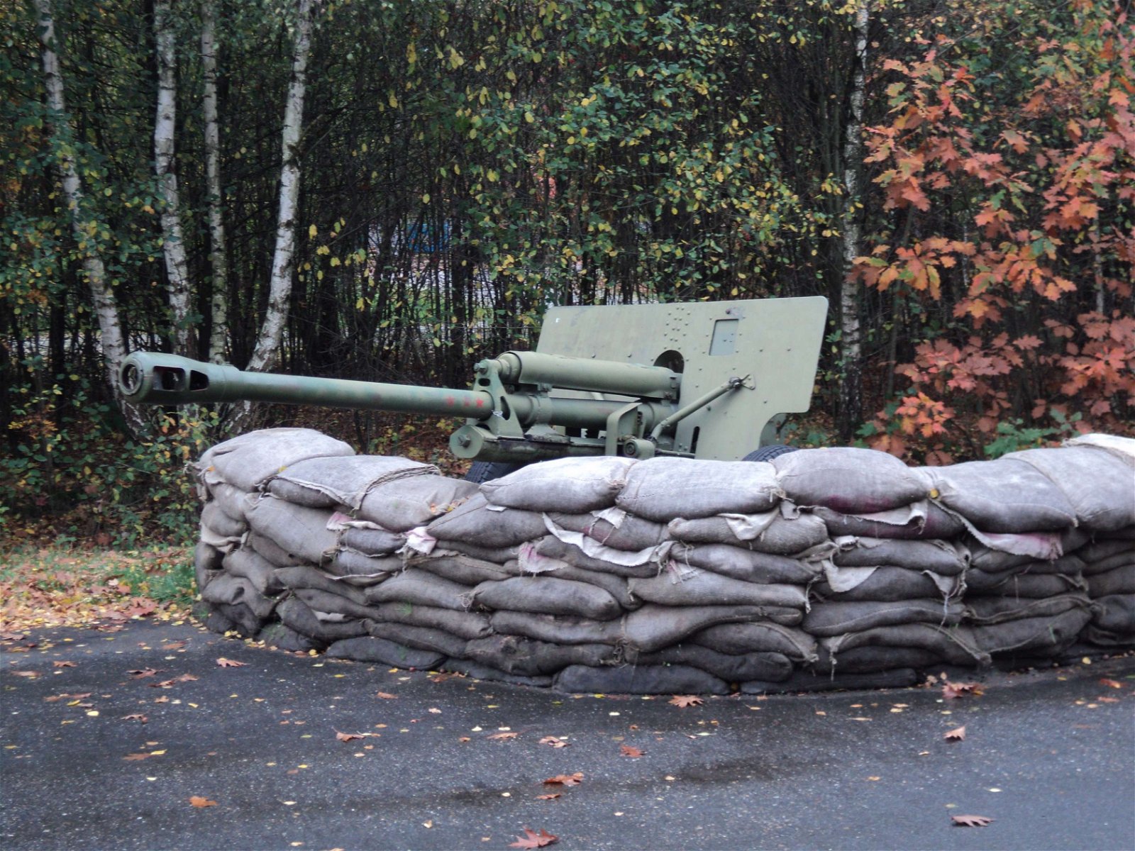 Bevrijdende Vleugels