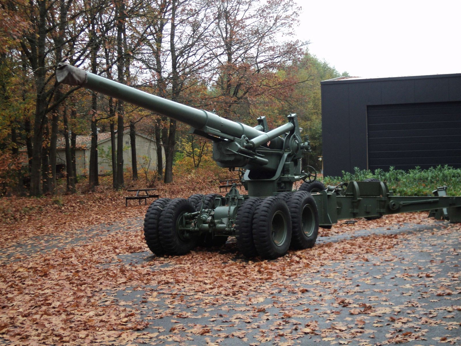 Bevrijdende Vleugels