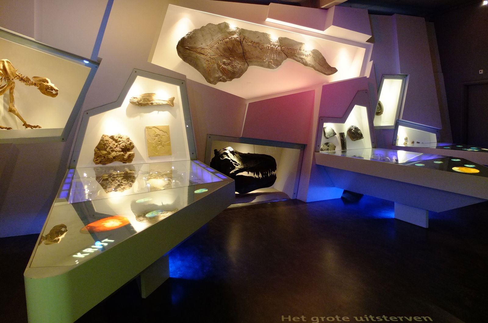 Natuurmuseum Brabant