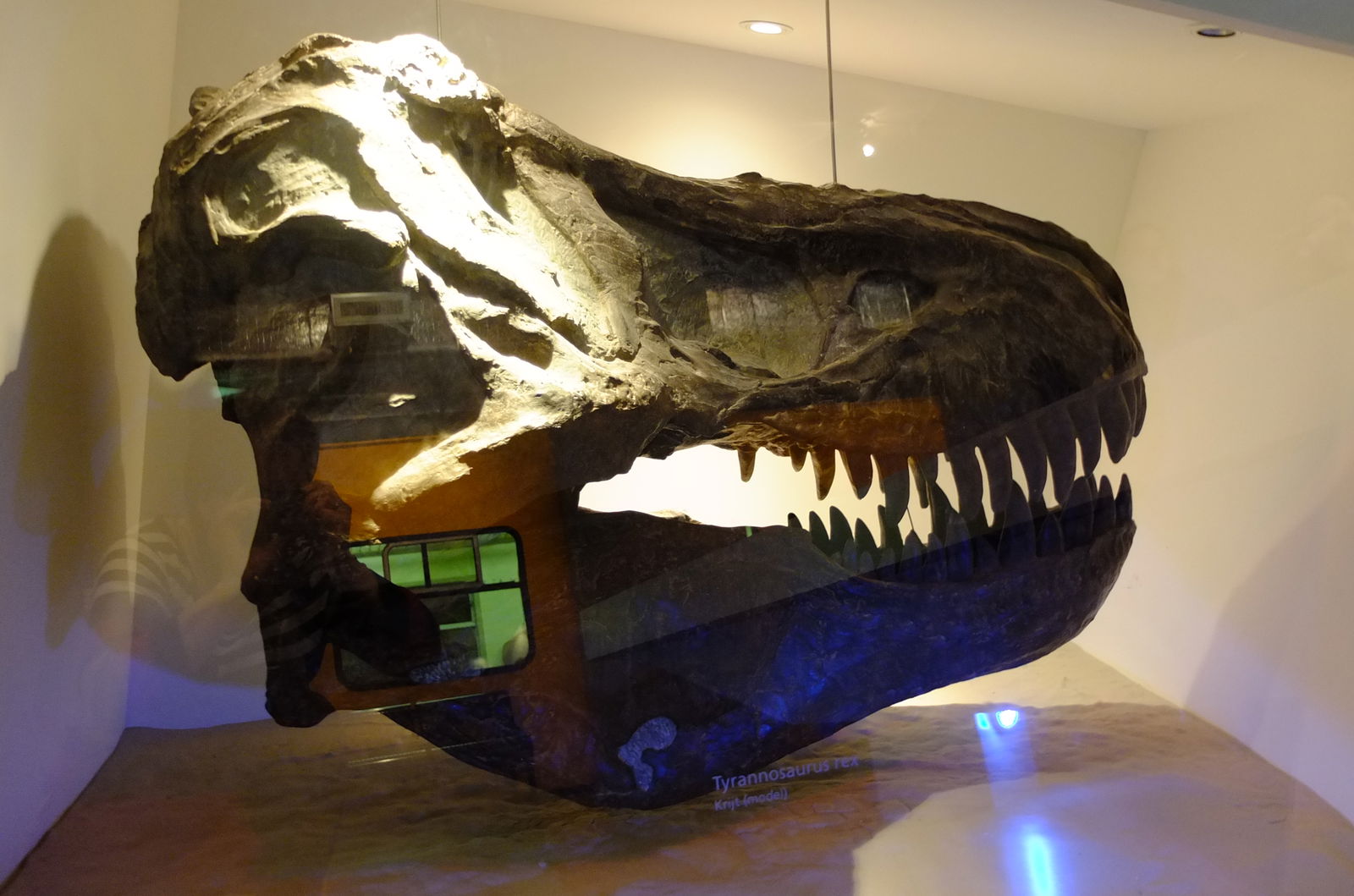 Natuurmuseum Brabant