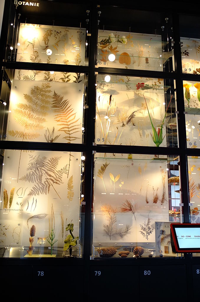 Natuurmuseum Brabant