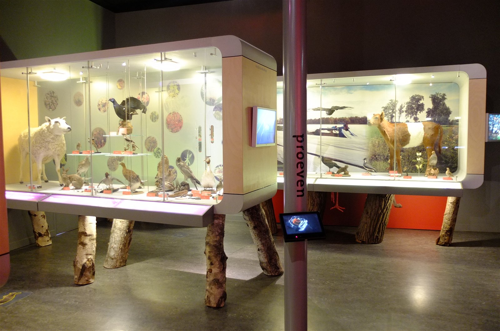 Natuurmuseum Brabant