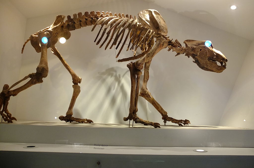 Natuurmuseum Brabant