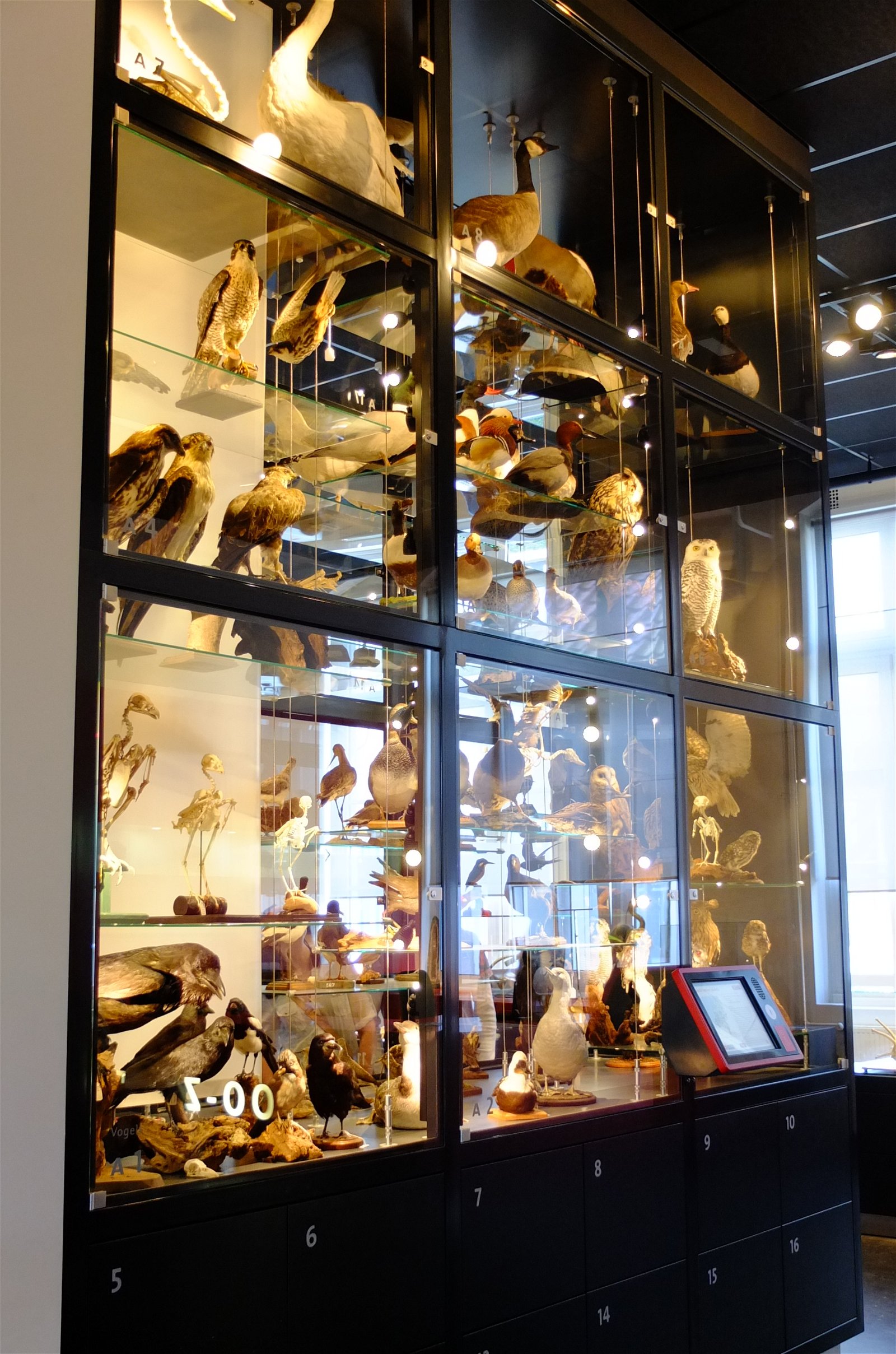 Natuurmuseum Brabant