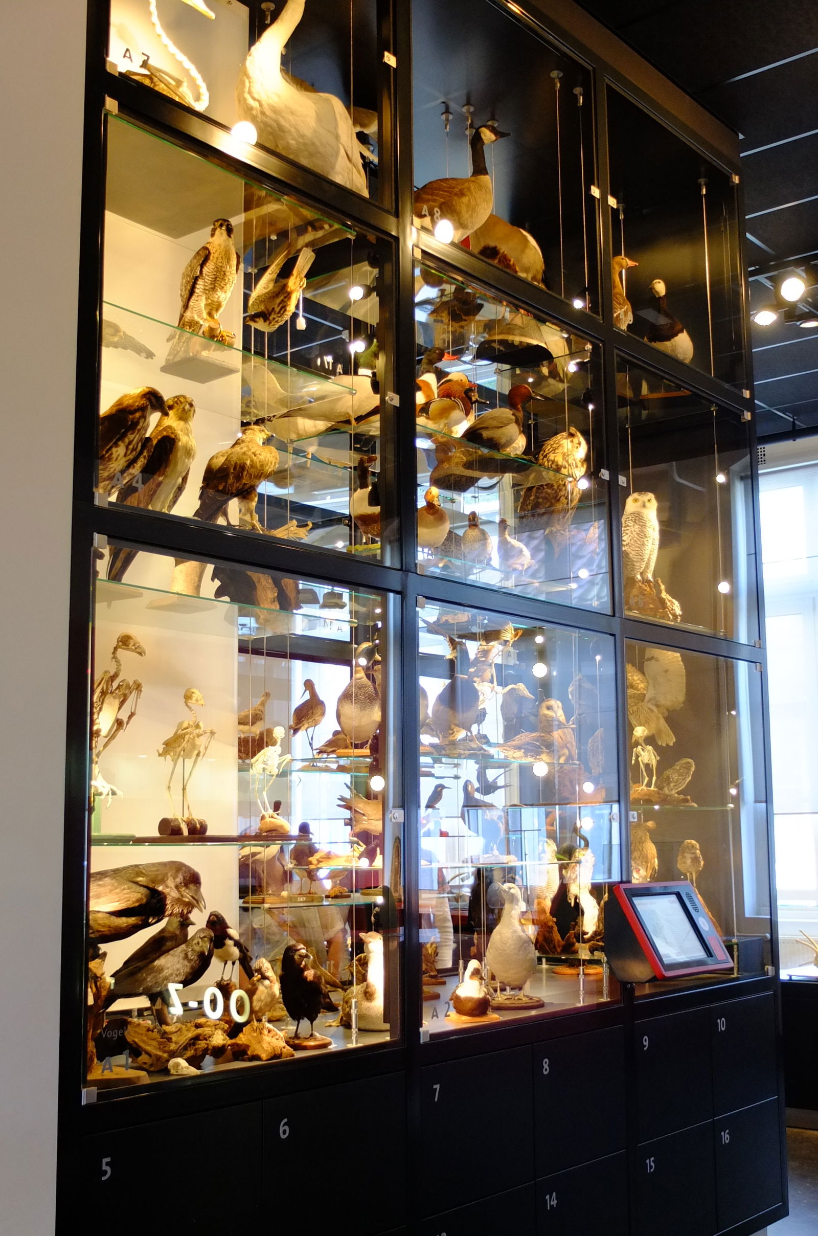 Natuurmuseum Brabant