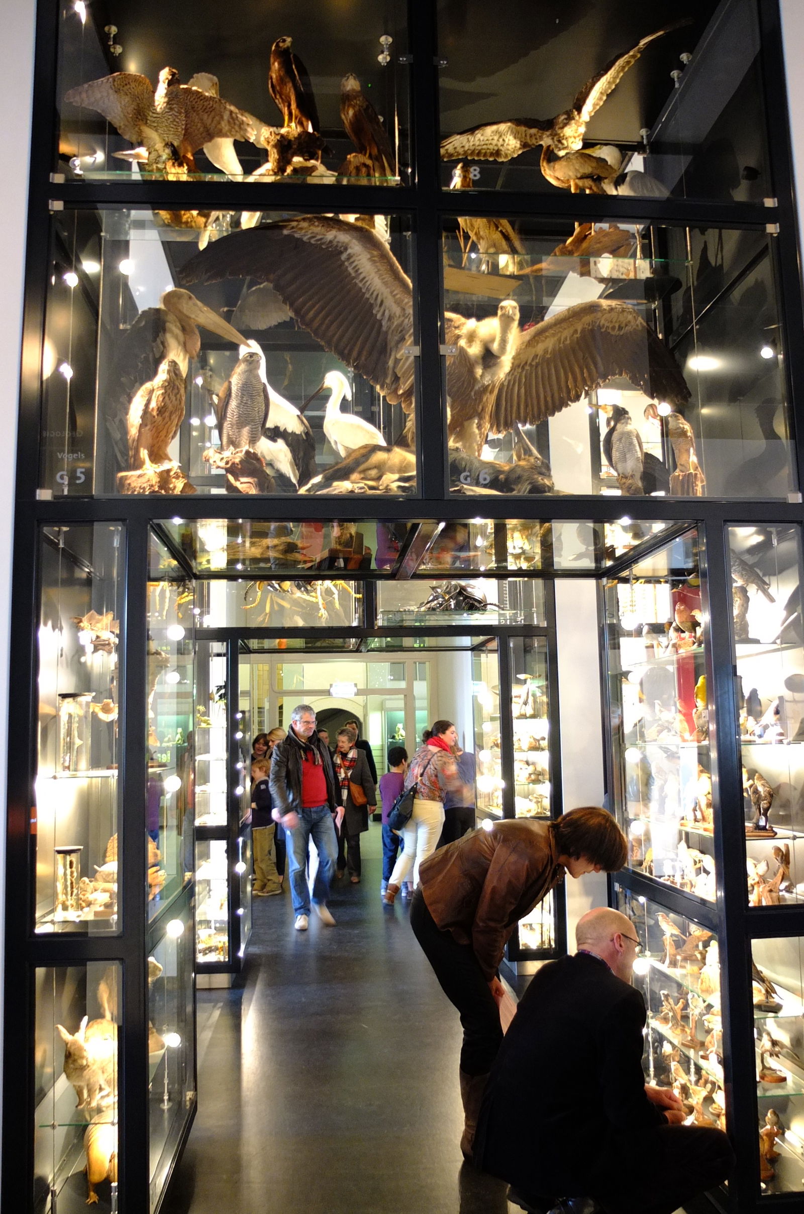 Natuurmuseum Brabant