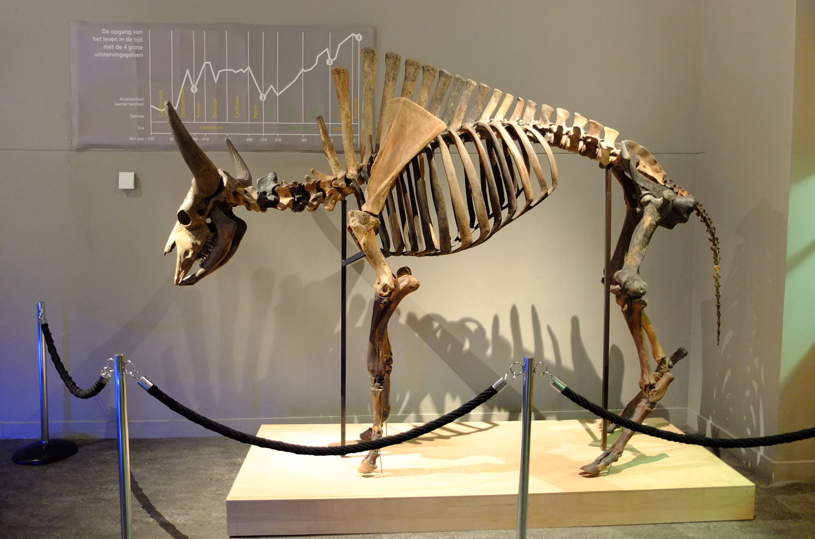 Natuurmuseum Brabant