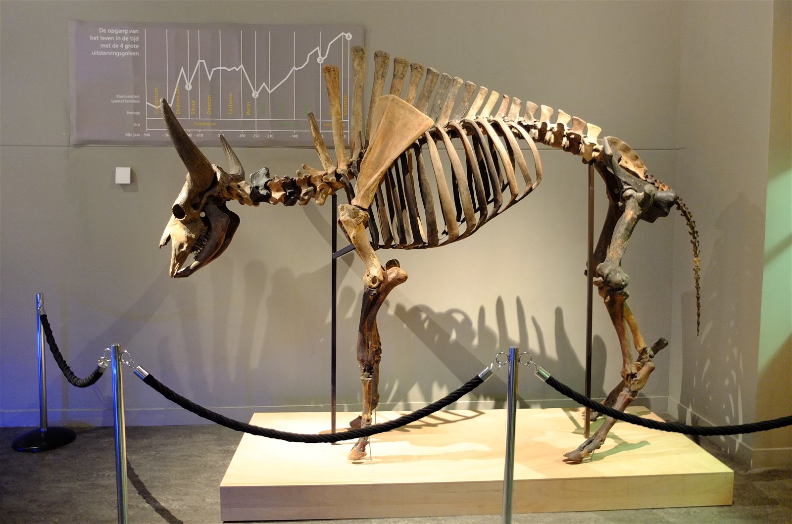 Natuurmuseum Brabant