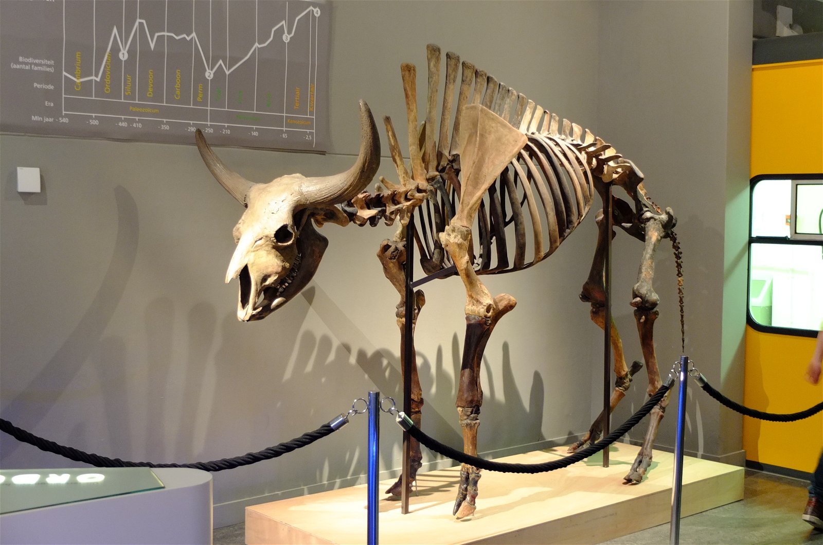 Natuurmuseum Brabant