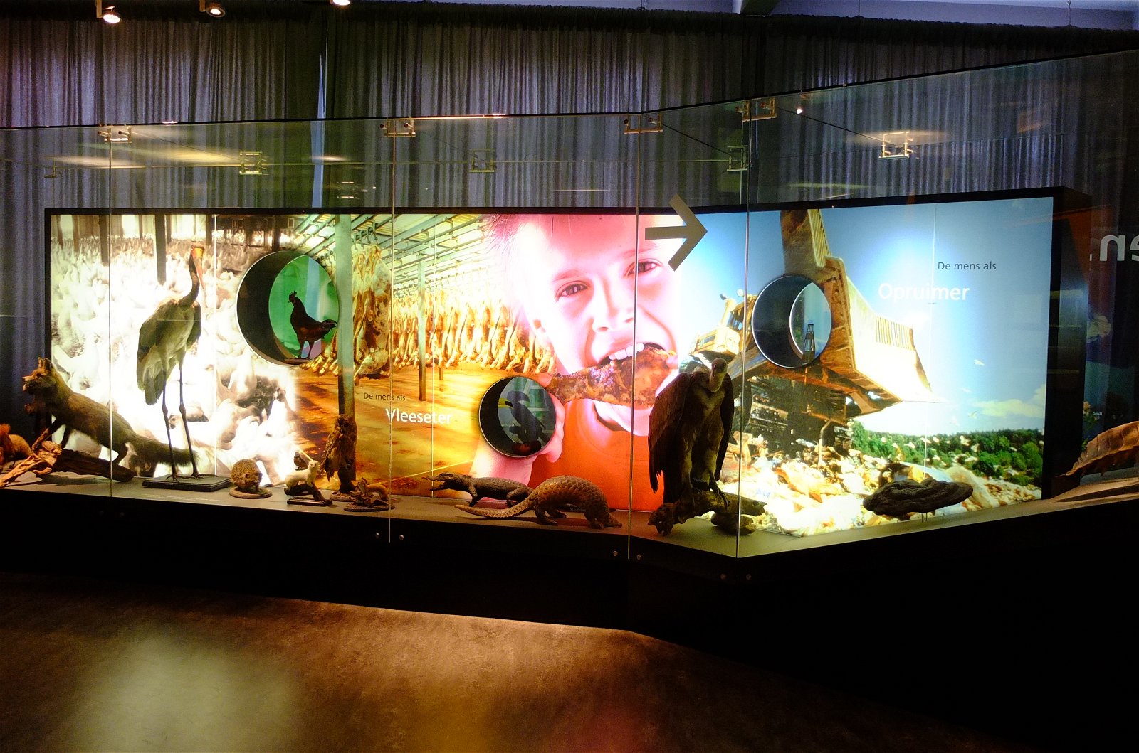 Natuurmuseum Brabant