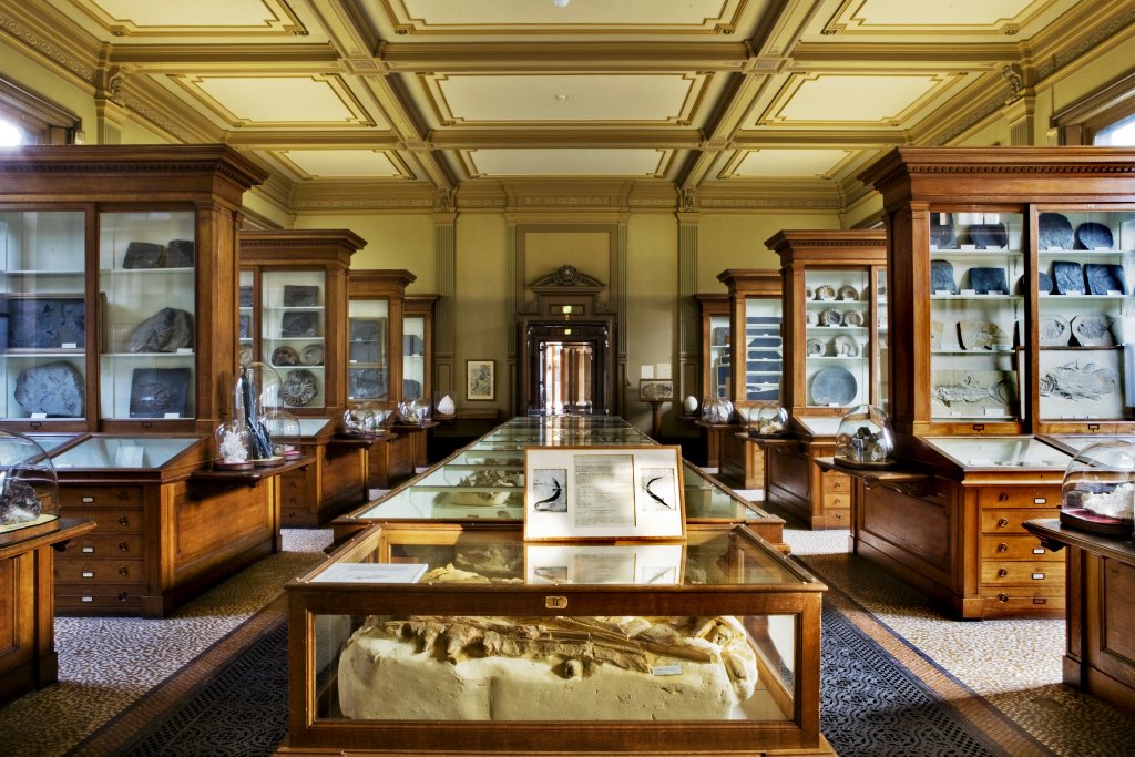 Teylers Museum