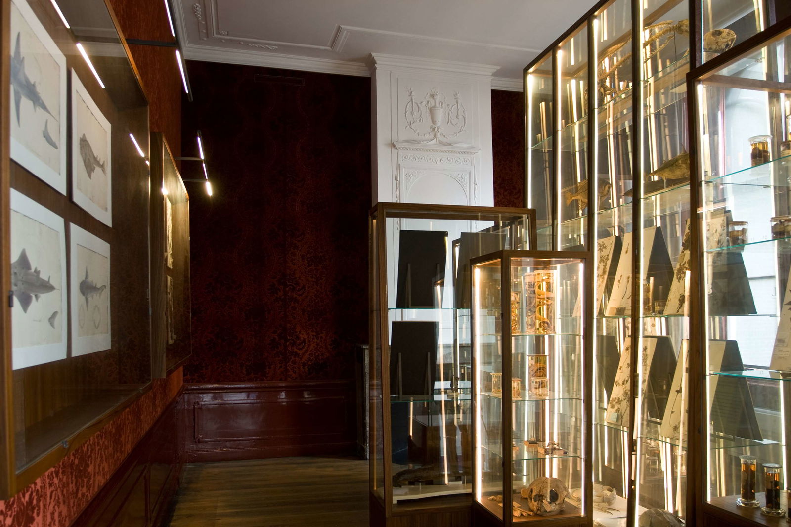 Japan Museum SieboldHuis