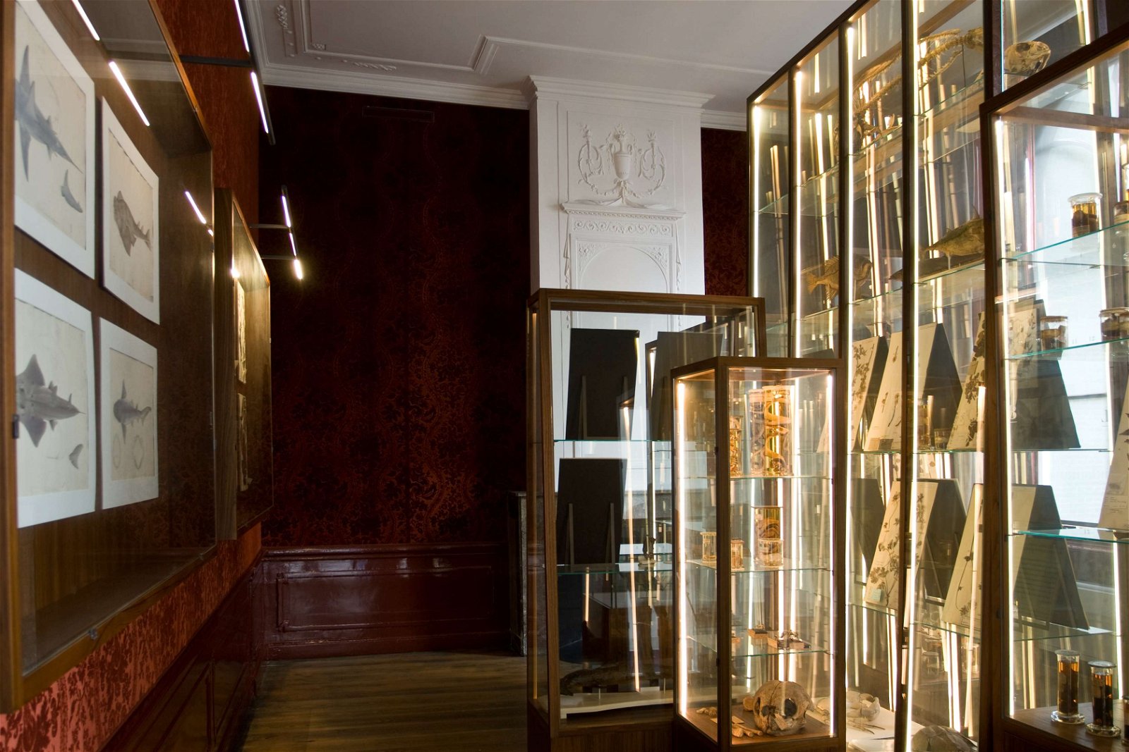 Japanmuseum SieboldHuis