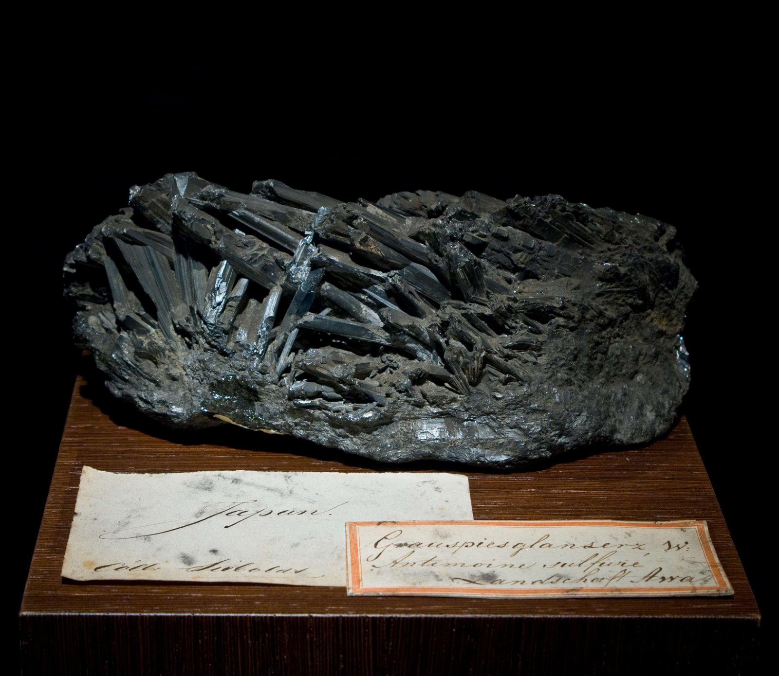 Japanmuseum SieboldHuis