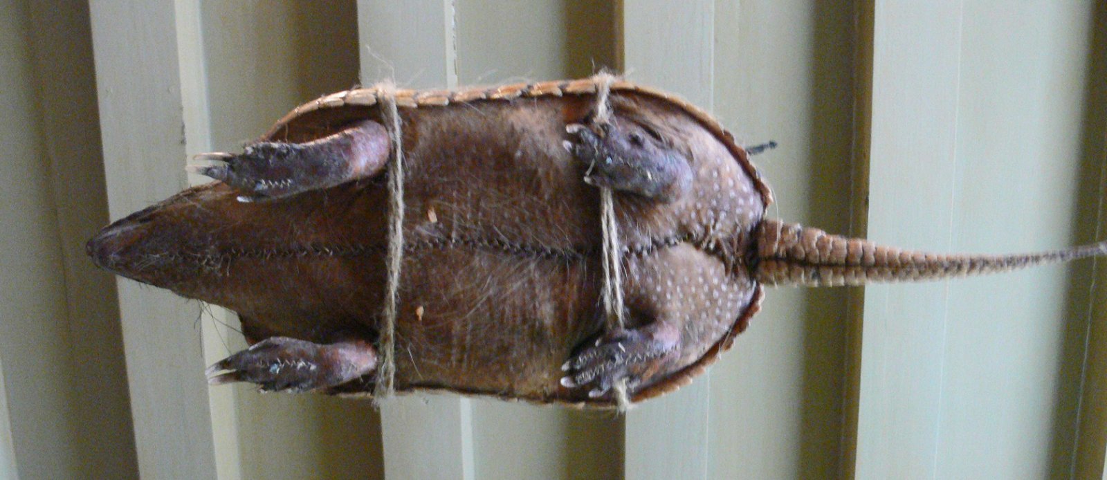 Museum Het Rembrandthuis