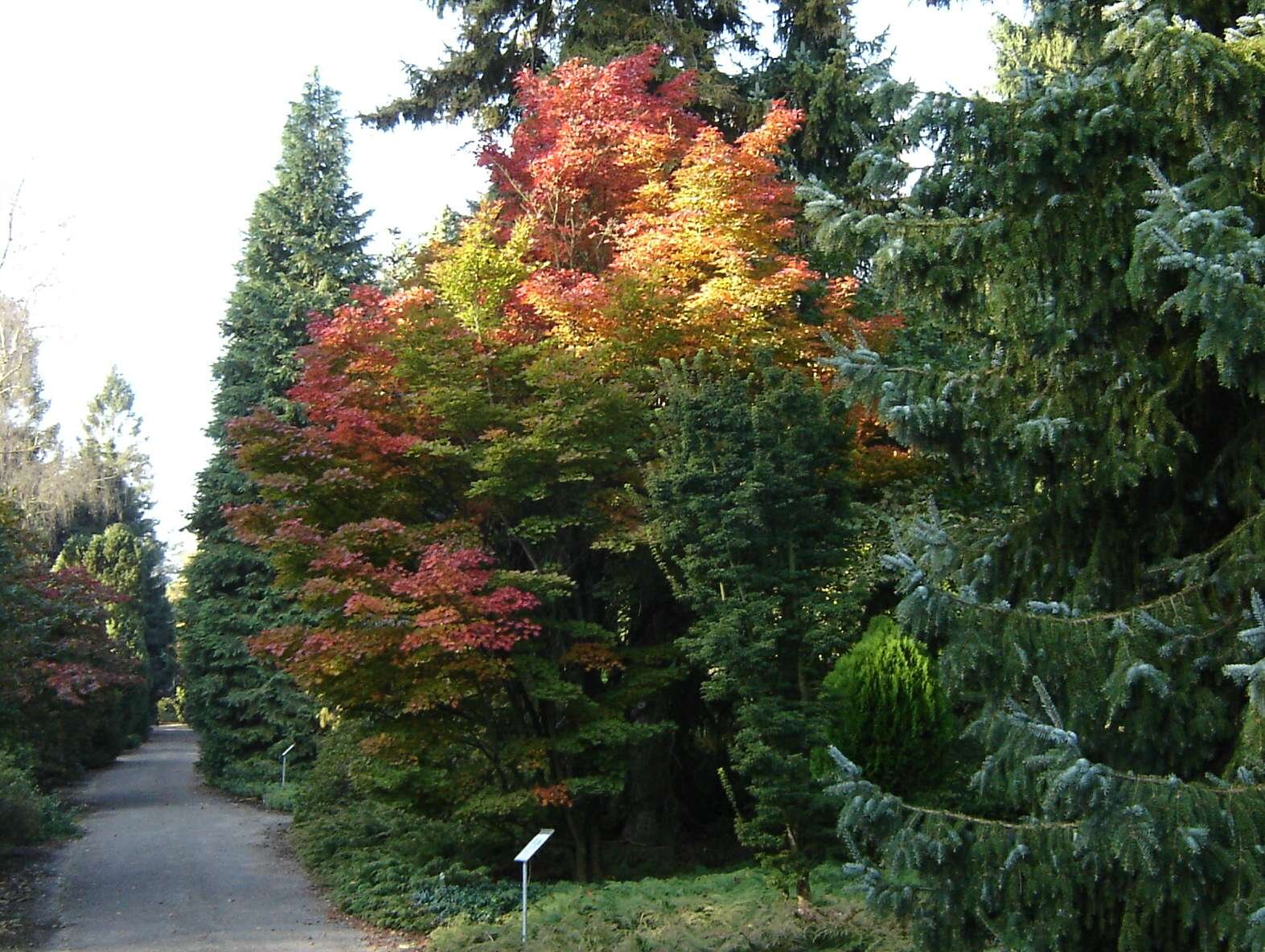 Nationaal Bomenmuseum Gimborn