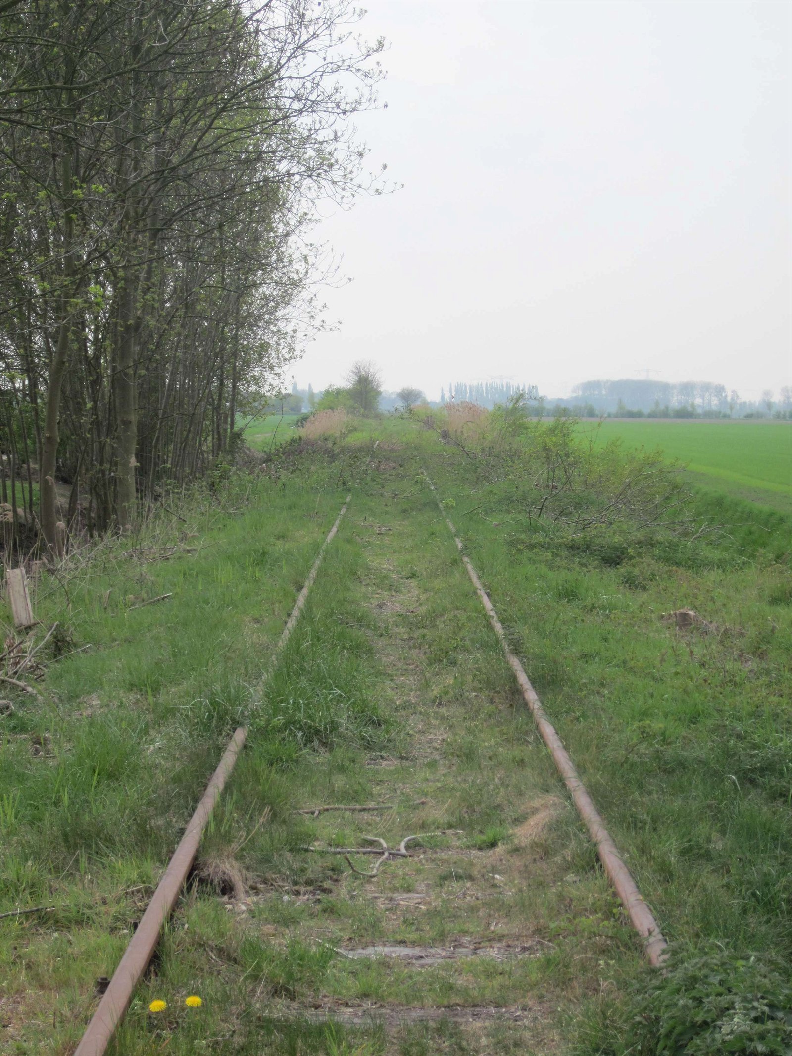 Stoomtrein Goes-Borsele