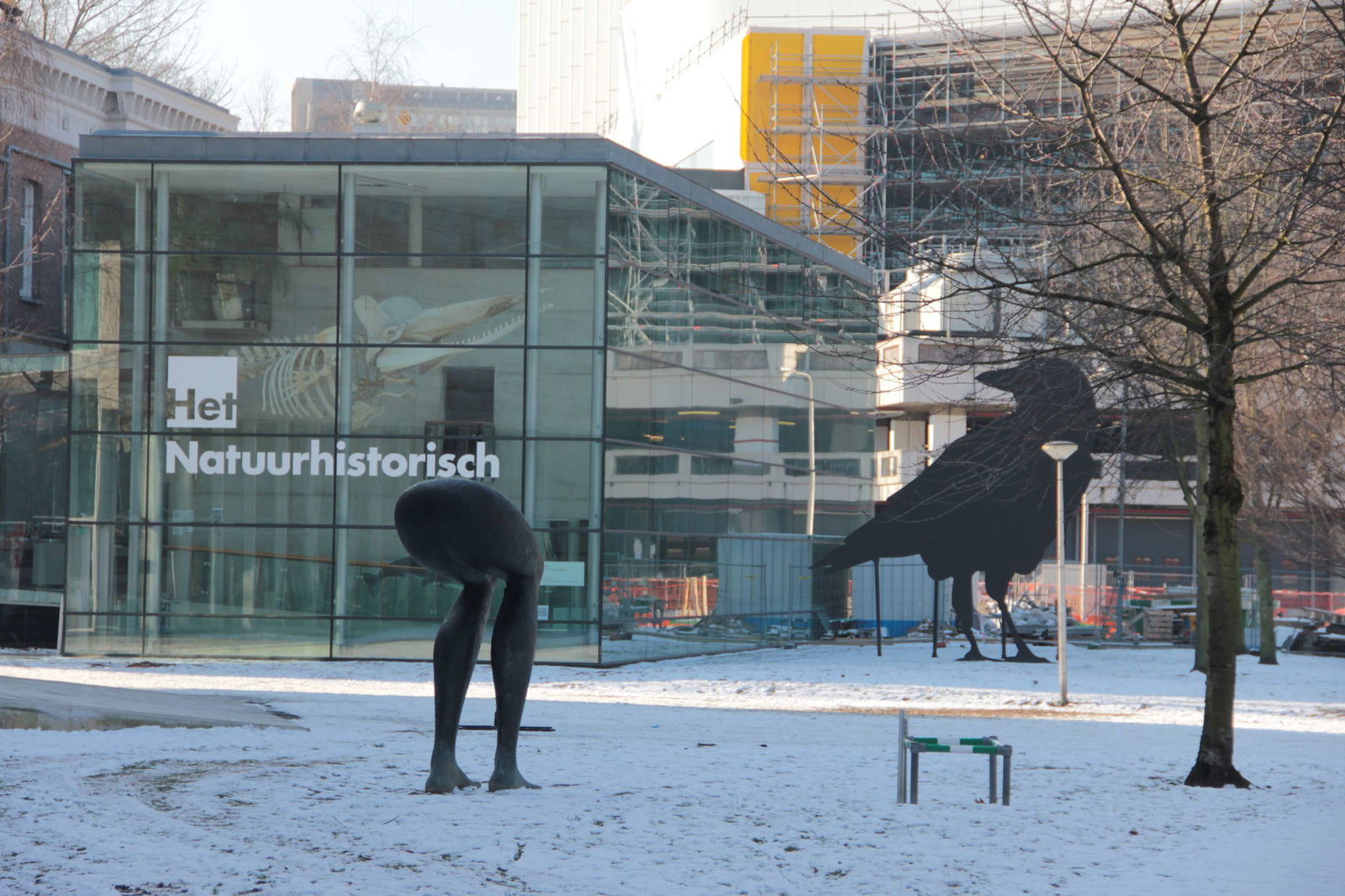 Natural History Museum Rotterdam