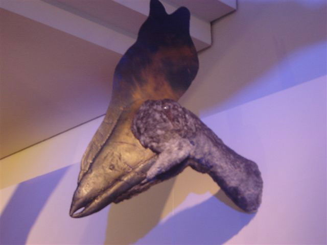 Natural History Museum Rotterdam