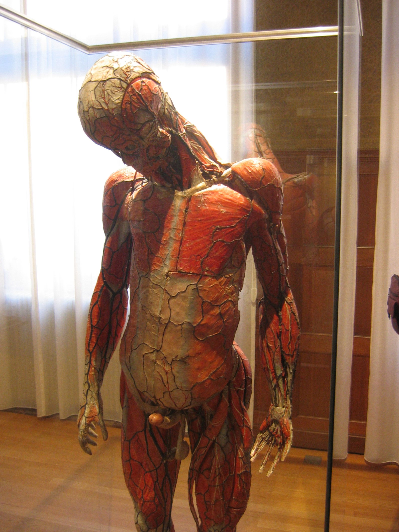 University Museum Groningen