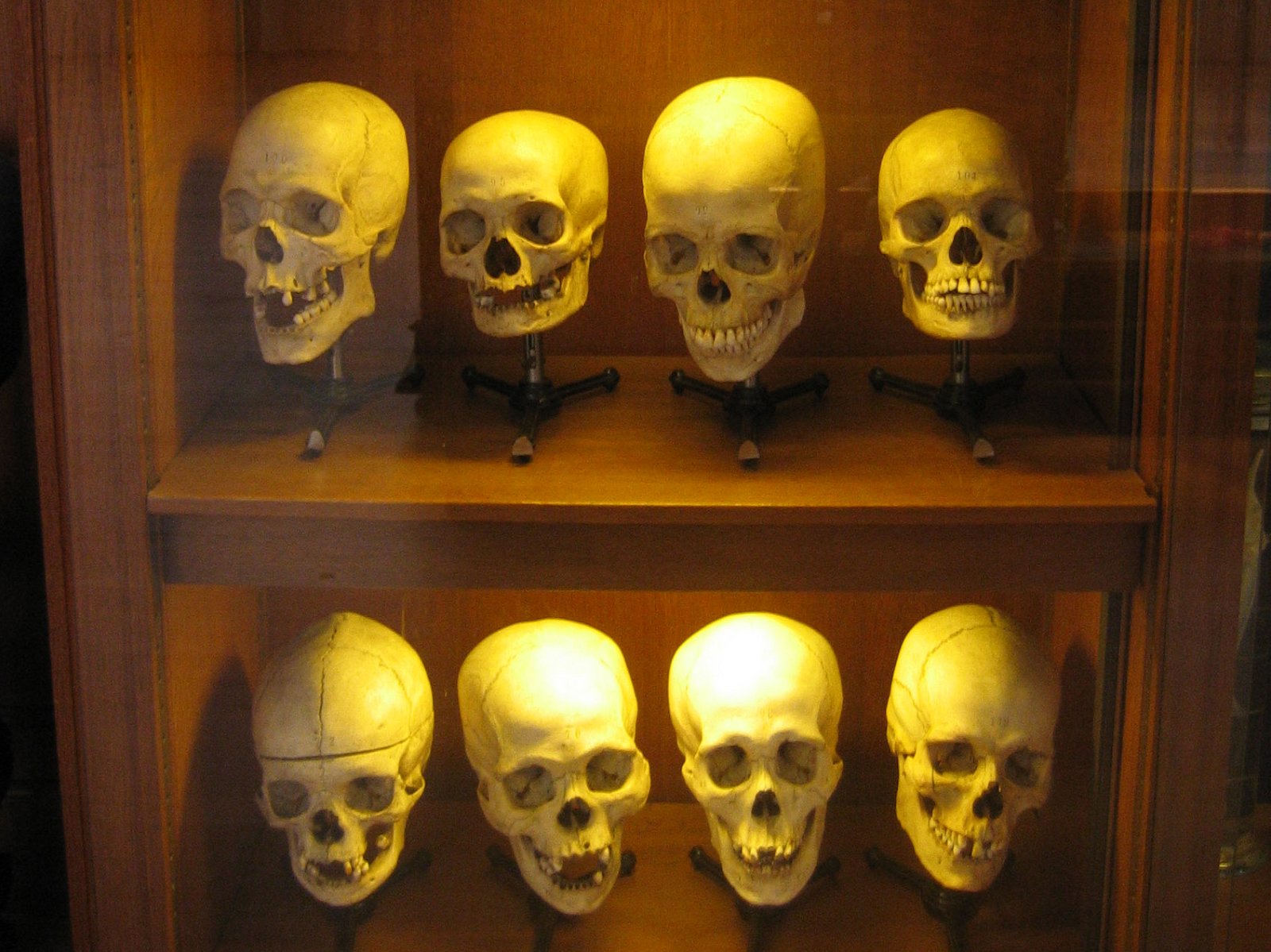 Universiteitsmuseum Groningen