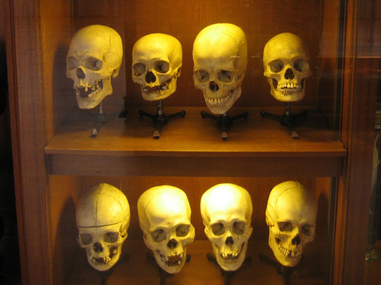 University Museum Groningen