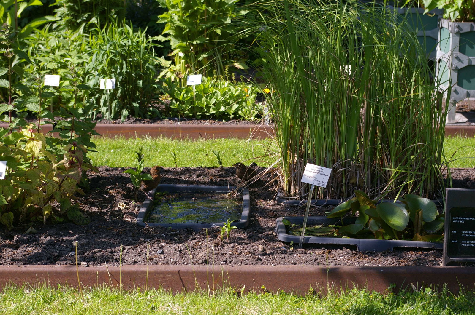 Hortus Botanicus Leiden