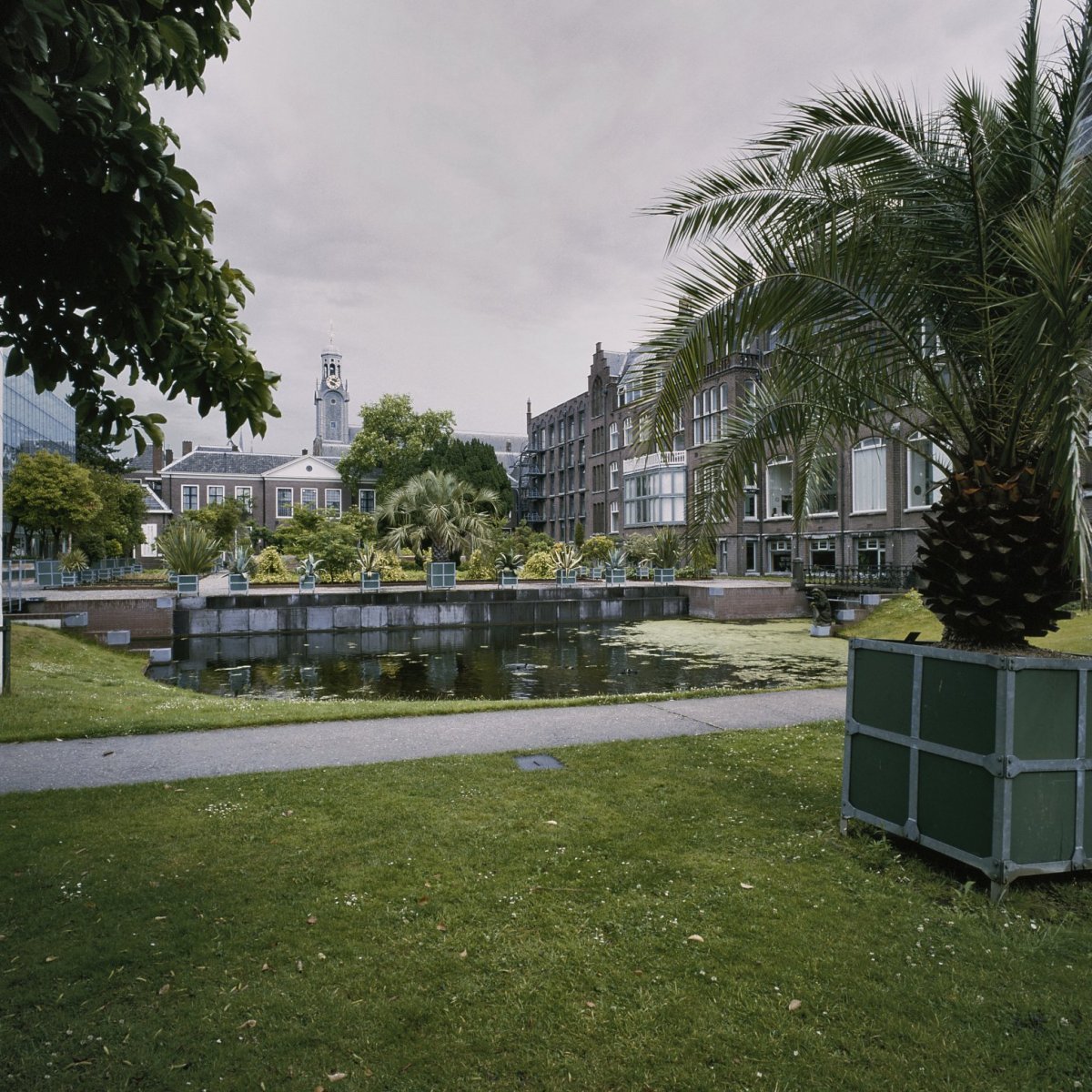 Hortus Botanicus Leiden