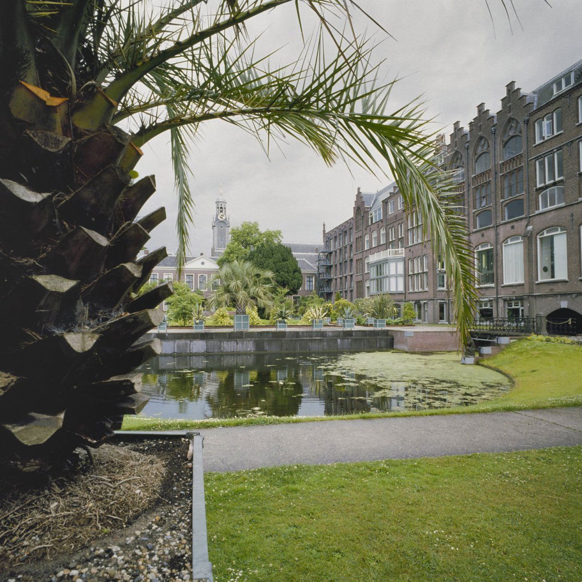 Hortus Botanicus Leiden