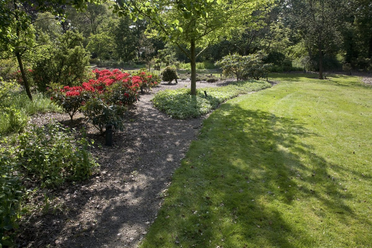 Belmonte Arboretum Wageningen