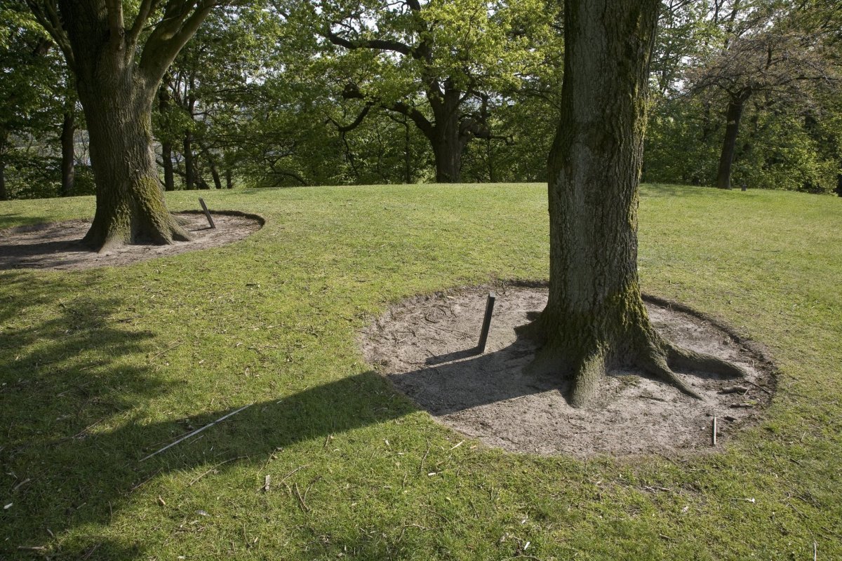 Belmonte Arboretum Wageningen