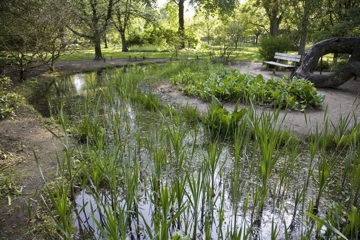 Belmonte Arboretum Wageningen