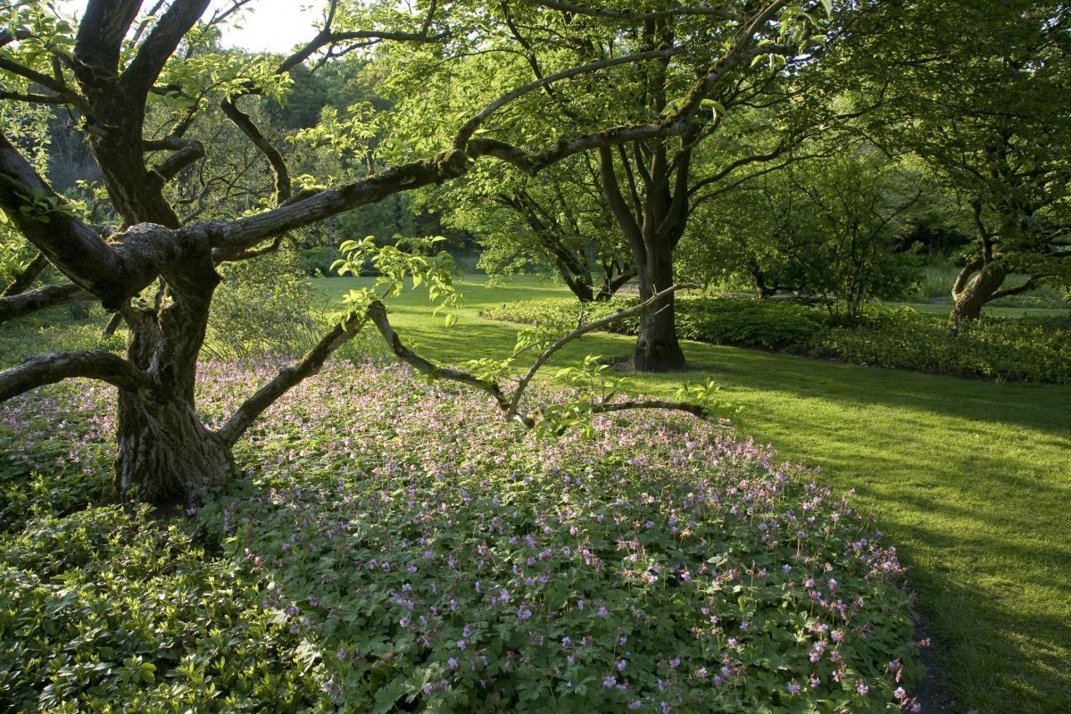 Belmonte Arboretum Wageningen