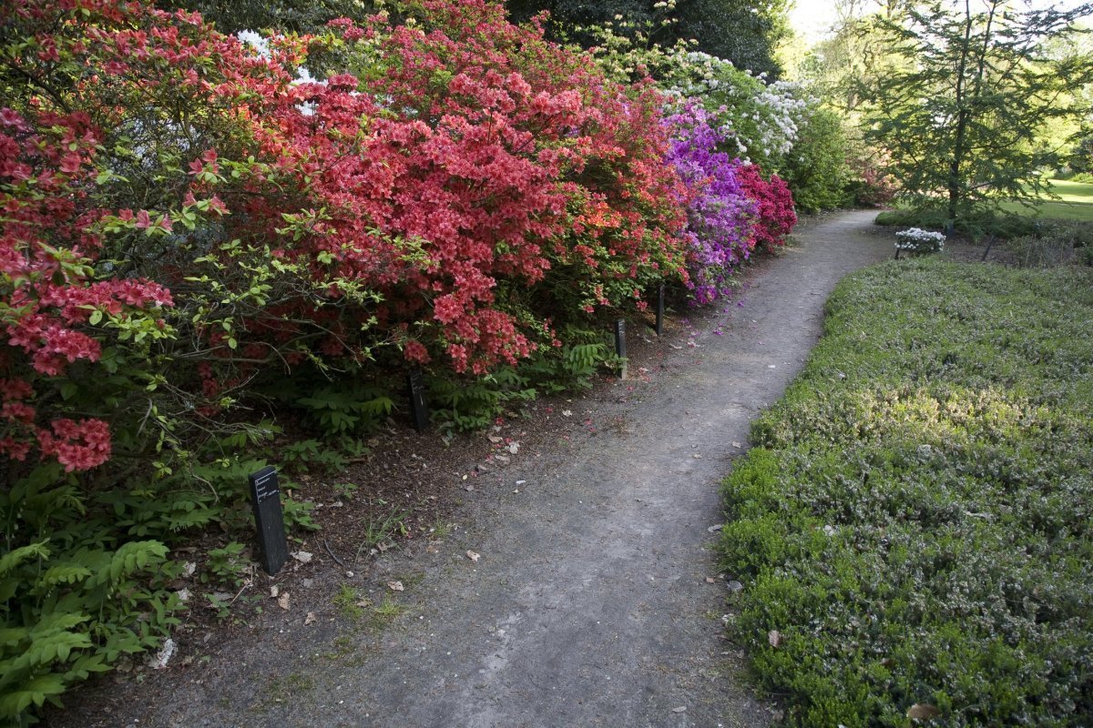 Belmonte Arboretum Wageningen