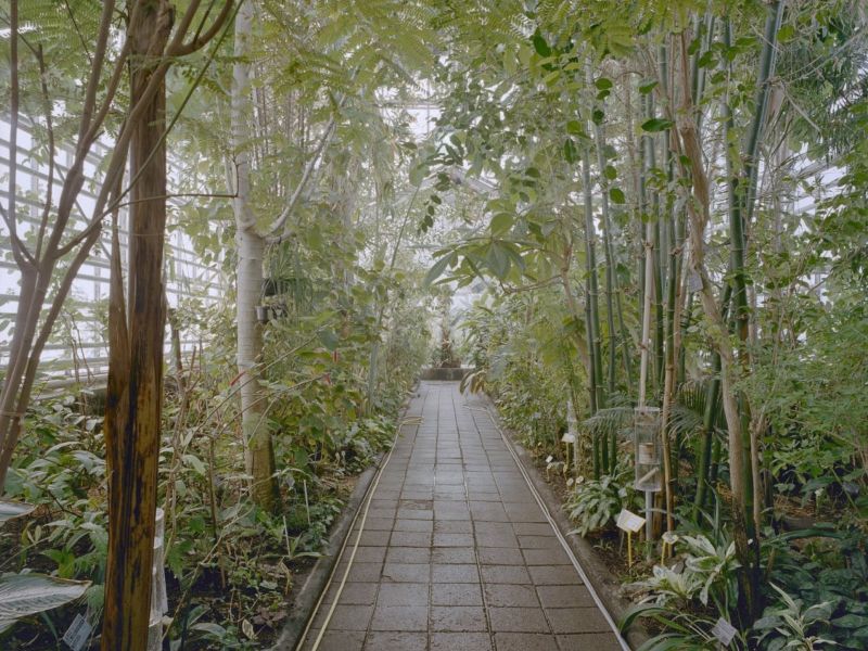 TU Delft Botanical Garden