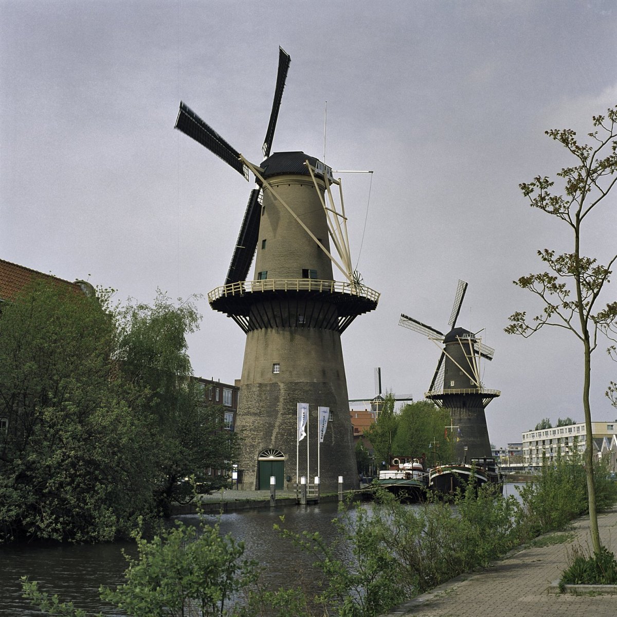 Museummolen De Nieuwe Palmboom