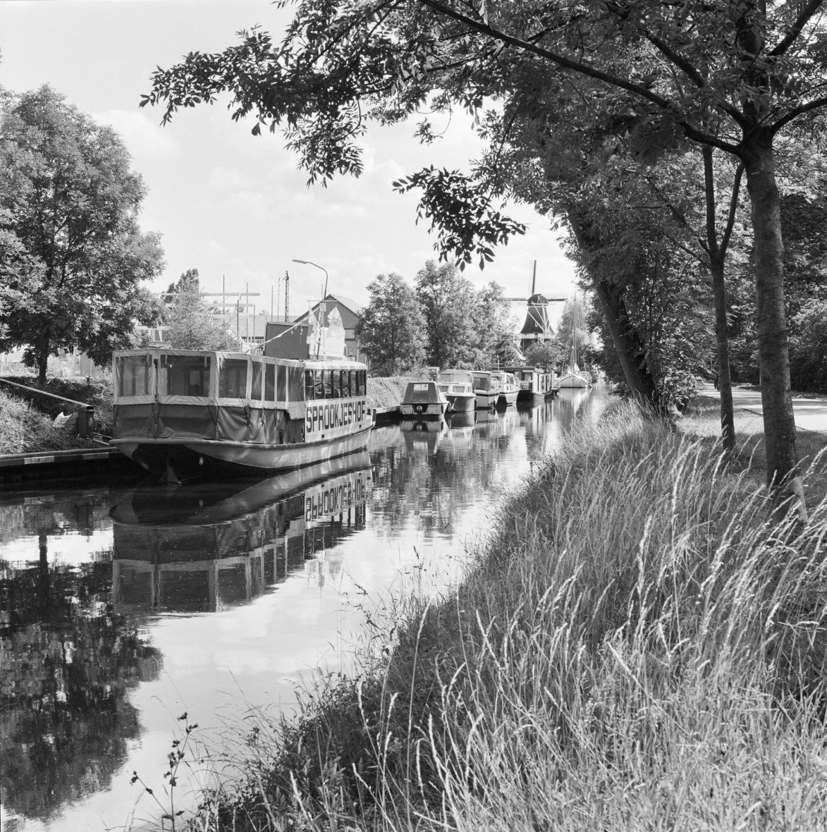 Molenmuseum De Wachter