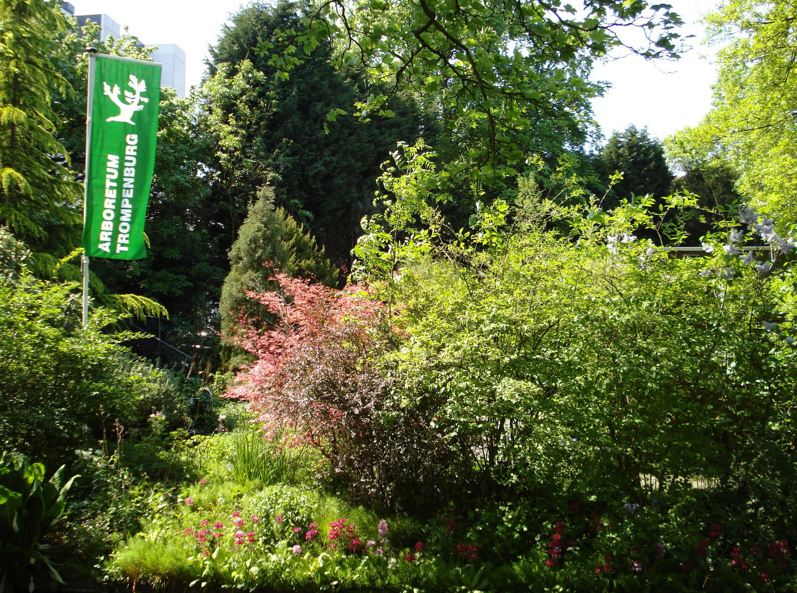 Trompenburg Tuinen & Arboretum