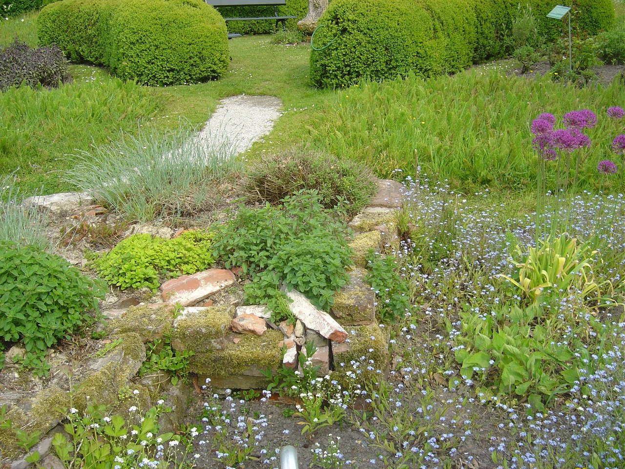 Botanische Tuin Domies Toen