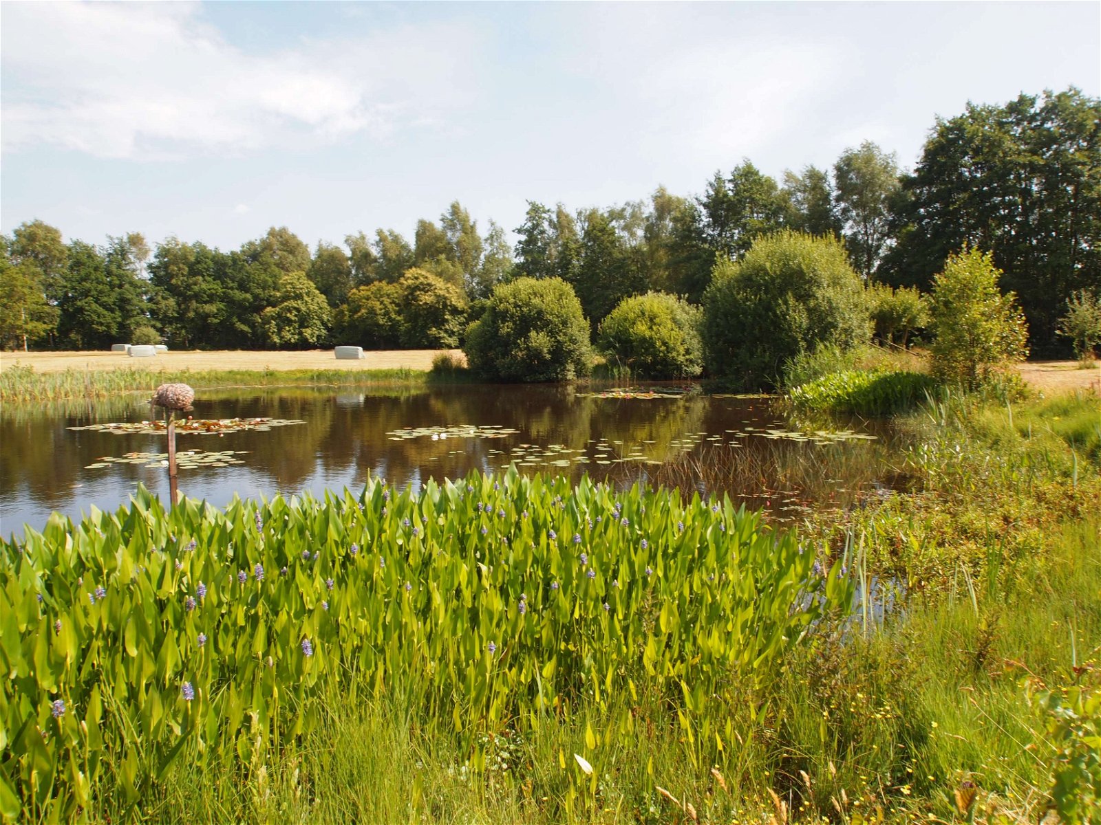 Openluchtmuseum De Spitkeet