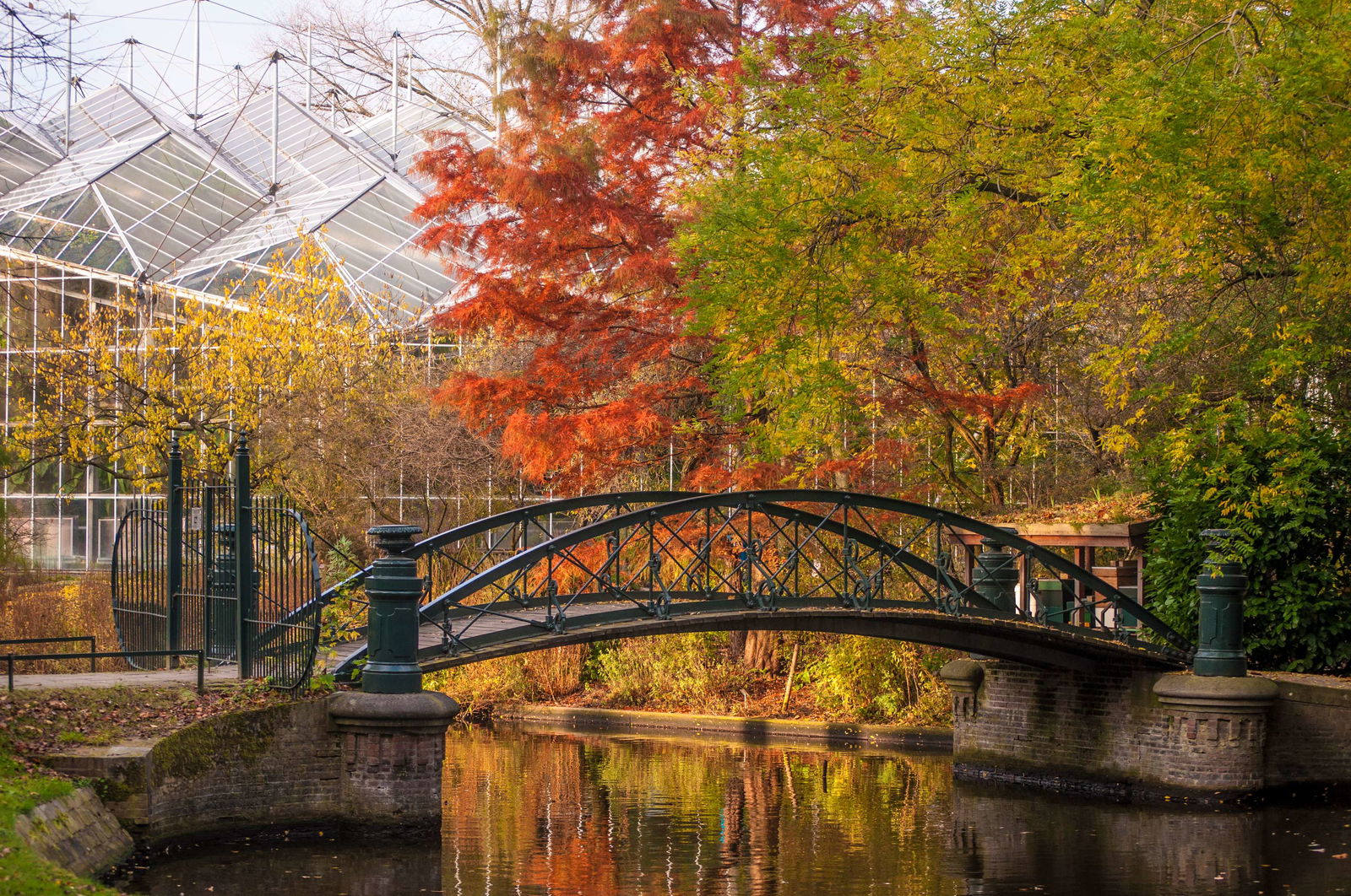 Hortus Botanicus Amsterdam